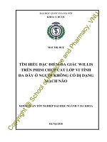 (Luận văn thạc sĩ) tìm hiểu đặc điểm đa giác willis trên phim chụp cắt lớp vi tính đa dãy ở người không có dị dạng mạch não001 