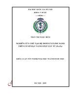(Luận văn thạc sĩ) nghiên cứu chế tạo hệ doxycycline nano trên cơ sở hạt nano oxit sắt từ (fe3o4) 