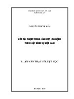 (Luận văn thạc sĩ) các tội phạm trong lĩnh vực lao động theo luật hình sự việt nam  