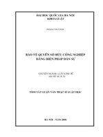 (Luận văn thạc sĩ) bảo vệ quyền sở hữu công nghiệp bằng biện pháp dân sự 