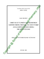 (Luận văn thạc sĩ) chiết xuất và phân lập thành phần saponin trong rễ thân cây sâm vũ diệp (panax bipinnatifidus seem ) thu hái ở tây bắc 
