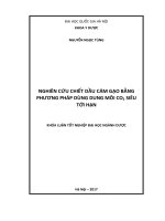 (Luận văn thạc sĩ) nghiên cứu chiết dầu cám gạo bằng phương pháp dùng dung môi siêu CO2 tới hạn 