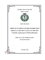 (Luận văn thạc sĩ) chiết xuất, phân lập một số hợp chất trong lá trà hoa vàng cúc phương (camellia cucphuongensis ninh  rosmann) 