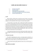 chiến lược sp và dv marketing