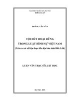 (Luận văn thạc sĩ) tội hủy hoại rừng trong luật hình sự việt nam (trên cơ sở số liệu thực tiễn địa bàn tỉnh đắk lắk)  