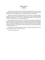 BC 361 hoạt động mua nguyên vật liệu xây dựng tại công ty TNHH TM  DV đại phúc thịnh