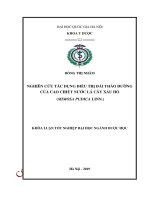 (Luận văn thạc sĩ) nghiên cứu tác dụng điều trị đái tháo đường của cao chiết nước lá cây xấu hổ (mimosa pudica linn ) 