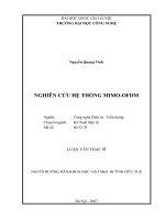 (Luận văn thạc sĩ) nghiên cứu hệ thống MIMO OFDM 