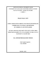 (Luận văn thạc sĩ) using associative group analysis to investigate underlying cultural assumptions of american and vietnamese 