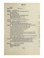 (Luận án tiến sĩ) khu hệ cá và đặc điểm sinh học của mười loài cá kinh tế ở hệ đầm phá thừa thiên   huế luận án PTS  sinh học01 05 02 