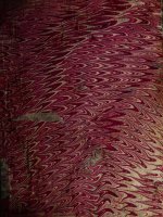 (Luận án tiến sĩ) một số bài toán truyền sóng trong môi trường đàn hồi có biến dạng ban đầu luận án PTS  cơ học1 02 20 