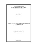 (Luận văn thạc sĩ) khảo sát ảnh hưởng của độ ph lên phổ phát quang của zns pha tạp mn 