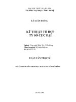 (Luận văn thạc sĩ) kỹ thuật tổ hợp tỷ số cực đại 