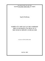 (Luận án tiến sĩ) nghiên cứu chế tạo vật liệu compozit trên cơ sở zeolit ứng dụng xử lý một số dung môi hữu cơ dễ bay hơi   