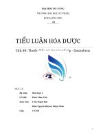 TIỂU LUẬN hóa dược 2 NHÂN đức