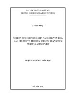 (Luận án tiến sĩ) nghiên cứu mô phỏng khả năng chuyển hoá, vận chuyển và tích luỹ asen từ quặng thải pyrit và asenopyrit 