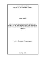 (Luận văn thạc sĩ) điều tra ca bệnh melioidosis trên lâm sàng và nghiên cứu sự phân bố của vi khuẩn burkholderia pseudomallei ngoài môi trường ở bắc miền trung việt nam 