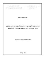 (Luận văn thạc sĩ) khảo sát ảnh hưởng của cấu trúc điện cực đến khả năng đáp ứng của sensor oxy 