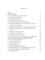 (Luận án tiến sĩ) nghiên cứu đánh giá hiện trạng và khả năng ô nhiễm một số kim loại nặng trong vùng trồng rau ven đô hà nội  