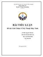 tiểu luận giới thiệu về ngành kỹ thuật máy tính