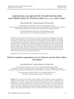 Ảnh hưởng của một số yếu tố môi trường đến quá trình nuôi cấy tế bào xạ đen (Ehretia asperula Zoll. et Mor.)