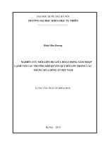 (Luận văn thạc sĩ) nghiên cứu mối liên hệ giữa hoạt động xâm nhập lạnh với các trường khí quyển qui mô lớn trong các tháng mùa đông ở việt nam 