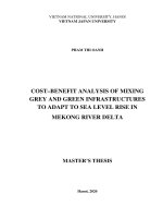 (Luận văn thạc sĩ) cost benefit analysis of grey and green infrastructures to adapt to sea level rise in the mekong river delta 