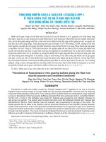 Tình hình nhiễm sán lá gan lớn (Fasciola spp.) ở trâu chăn thả tự do ở khu vực bãi bồi ven sông Hồng và thuốc điều trị