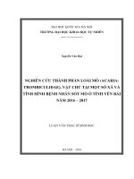 (Luận văn thạc sĩ) nghiên cứu thành phần loài mò (acaria trombiculidae), vật chủ tại một số xã và tình hình bệnh nhân sốt mò ở tỉnh yên bái năm 2016   2017 