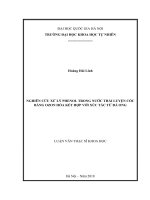 (Luận văn thạc sĩ) nghiên cứu xử lý phenol trong nước thải luyện cốc bằng ozon hóa kết hợp với xúc tác từ đá ong   