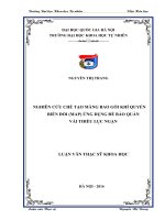 (Luận văn thạc sĩ) nghiên cứu chế tạo màng bao gói khí quyển biến đổi (MAP) ứng dụng để bảo quản vải thiều lục ngạn 