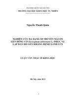 (Luận văn thạc sĩ) nghiên cứu đa dạng di truyền nguồn gen bông cỏ ( gossypium arboreum l ) phục vụ lập bản đồ gen kháng bệnh xanh lùn  