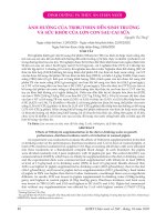 Ảnh hưởng của Tributyrin đến sinh trưởng và sức khỏe của lợn con sau cai sữa