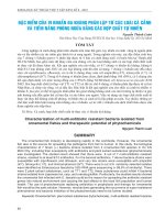 Đặc điểm của vi khuẩn đa kháng phân lập từ các loài cá cảnh và tiềm năng phòng ngừa bằng các hợp chất tự nhiên