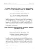 Tổng hợp nano Cobalt ferrite dạng cầu rỗng bằng phương pháp thủy nhiệt và ứng dụng trong xúc tác