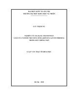(Luận văn thạc sĩ) nghiên cứu đa dạng thành phần loài nấm rễ nội cộng sinh (arbuscular mycorrhiza) trong đất trồng ngô 