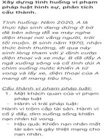 Xây-dựng-tình-huống-vi-phạm-pháp-luật-hình-sự-phân-tích-cấu-thành