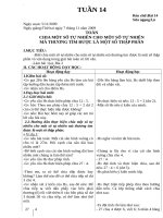 Giao an lop 5 tuan 14CKTKNCo buoi 2