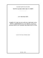 (Luận văn thạc sĩ) nghiên cứu một số gen liên quan đến khả năng kháng carbapenem của các chủng acinetobacter baumannii phân lập tại bệnh viện phổi trung ương 