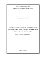 (Luận văn thạc sĩ) nghiên cứu nguồn tài nguyên cây thuốc mọc tự nhiên ở khu bảo tồn loài và sinh cảnh nam xuân lạc huyện chợ đồn   tỉnh bắc kạn 