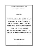 (Luận văn thạc sĩ) nonlinear dynamic response and vibration of sandwich plates with nanotube reinforced composite face sheets and FG porous core in thermal environments 