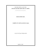 (Luận văn thạc sĩ) nghiên cứu chế tạo màng cuins2 