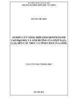 (Luận văn thạc sĩ) nghiên cứu tổng hợp gốm monticelite cao mgo sio2 và ảnh hưởng của oxit fe2o3, cr2o3 đến cấu trúc và tính chất của gốm 