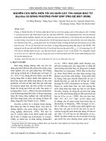 Nghiên cứu điều kiện tối ưu nuôi cấy thu nhận bào tử Bacillus S5 bằng phương pháp đáp ứng bề mặt (RSM)