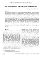 Tình hình khai thác tôm hùm giống ở tỉnh Phú Yên