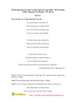 Đề thi giữa học kì 2 môn Ngữ văn lớp 11 năm học 2018-2019 – Trường THPT Nguyễn Chí Thanh