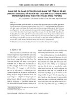 Đánh giá đa dạng di truyền các quần thể tôm sú bố mẹ (Penaeus monodon) và nguồn vật liệu ban đầu cho chương trình chọn giống theo tính trạng tăng trưởng