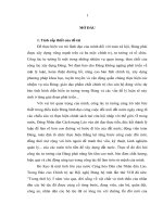 Chất lượng công tác tư tưởng của các đảng bộ huyện tỉnh bo kẹo nước cộng hòa dân chủ nhân dân lào trong giai đoạn hiện nay