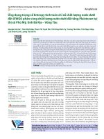 Ứng dụng trọng số Entropy tính toán chỉ số chất lượng nước dưới đất (EWQI) phân vùng chất lượng nước dưới đất tầng Pleistocen tại thị xã Phú Mỹ, tỉnh Bà Rịa – Vũng Tàu