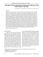 Tình hình sử dụng kháng sinh trong nuôi tôm sú và tôm chân trắng ở Việt Nam